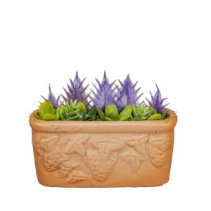 PLANTS IN PLANTER