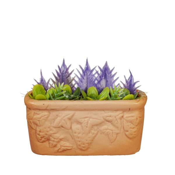 PLANTS IN PLANTER