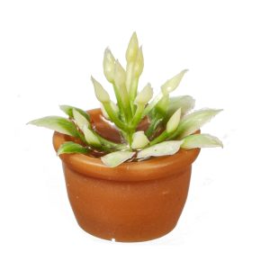 FLOWER IN POT