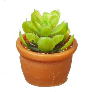 FLOWER IN POT