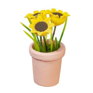 SUNFLOWER IN POT