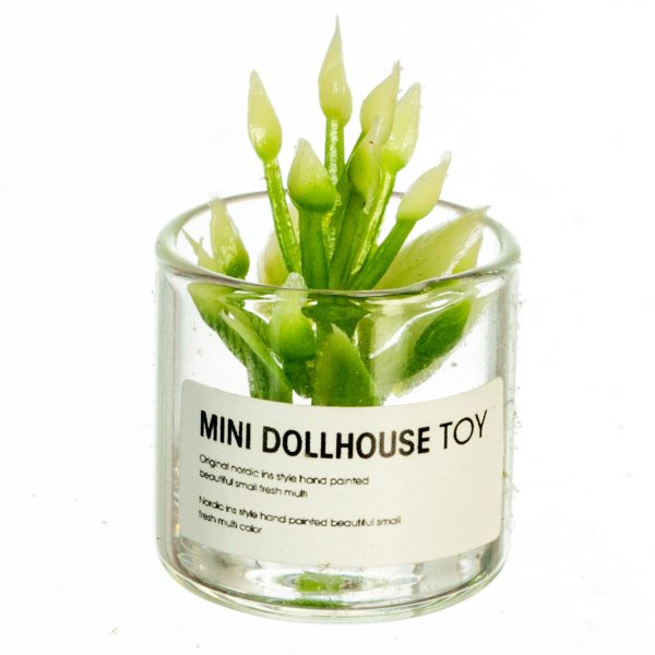 FLOWER IN JAR