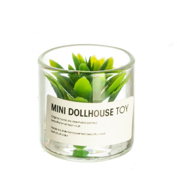 FLOWER IN JAR