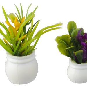 PLANTS SET OF 2