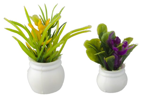 PLANTS SET OF 2