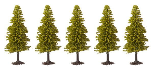 SMALL SPRUCE TREES/5