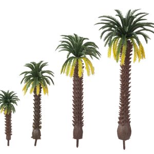 ASSORTED PALM TREES/4