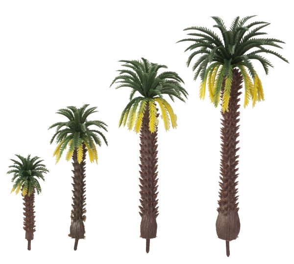 ASSORTED PALM TREES/4