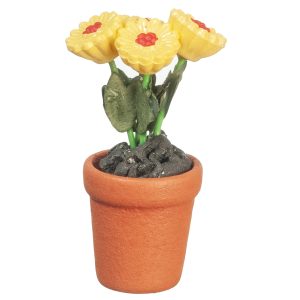 DAISIES IN POT/YELLOW