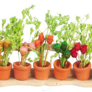 FLOWER BOX/WILD FLOWERS