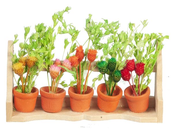 FLOWER BOX/WILD FLOWERS