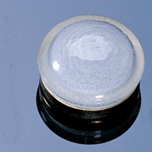 GLASS CEILING SHADE/PLAIN