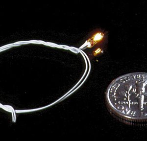 3V GOR BULB w/BLACK WIRE