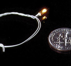 12V GOR BULB/12 BRN WIRE