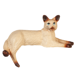 CAT BACK LEG DOWN/SIAMES