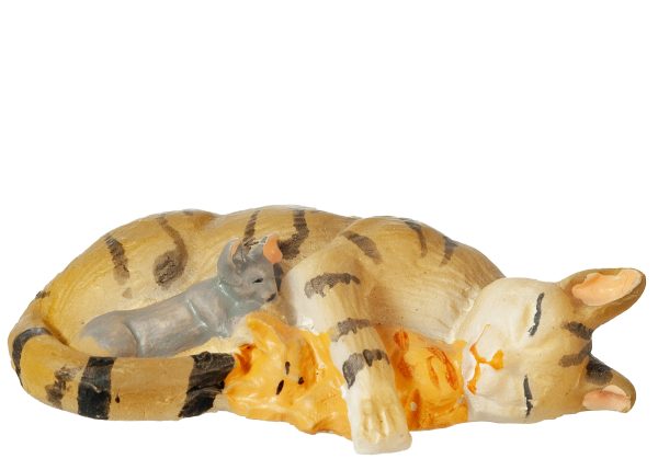 CAT W/KITTENS/TABBY