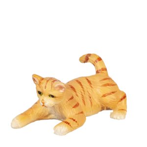 PLAYING CAT/ORANGE