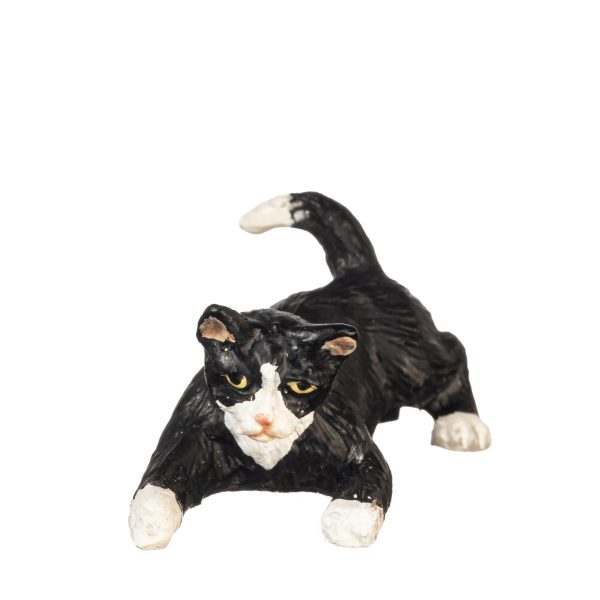 PLAYING CAT/BLACK/WHITE