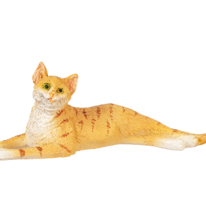 STRETCHED CAT/ORANGE