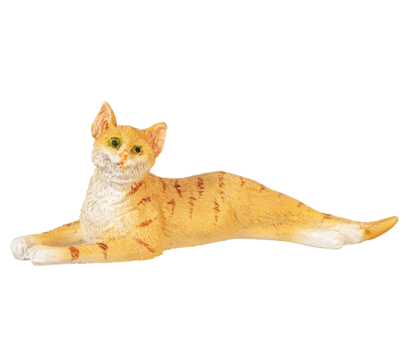 STRETCHED CAT/ORANGE