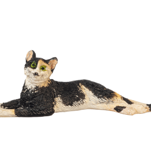STRETCHED CAT/CALICO