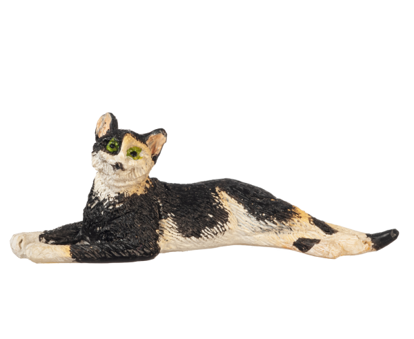 STRETCHED CAT/CALICO
