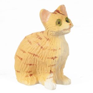 SittingCatEyesOpen/ORANG