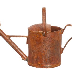 LARGE WATERING CAN/RUST