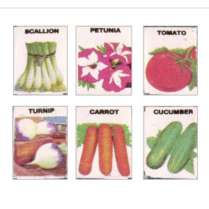 SEED PACKETS/6!