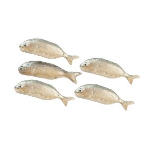 FISH SET/5