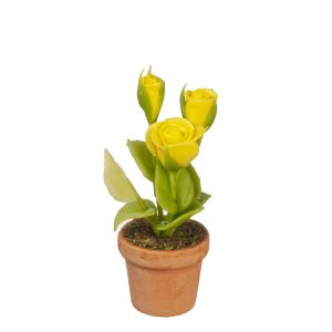 YELLOW ROSES IN POT