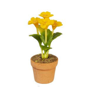 YELLOW DAISY IN POT