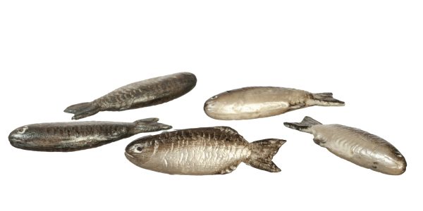 FISH SET/5