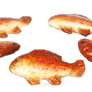 RED SNAPPER SET/5