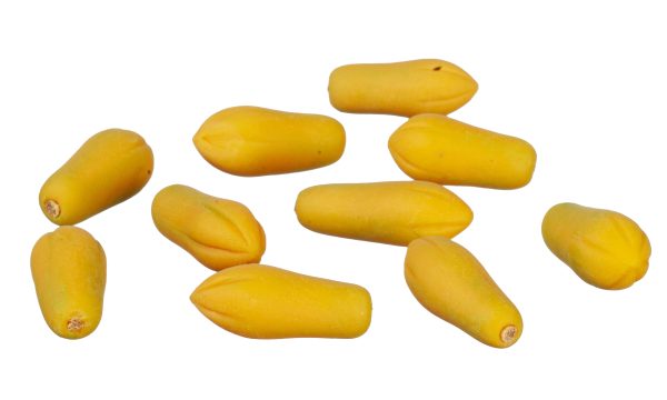 PAPAYAS/10