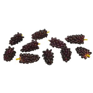 PURPLE GRAPE BUNCHES/10