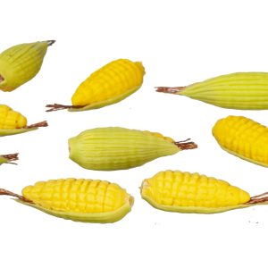 CORN ON THE COB/10