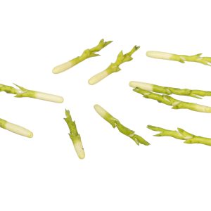 ASPARAGUS/10