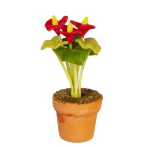 POTTED ANTHURIUM/RED/YELL