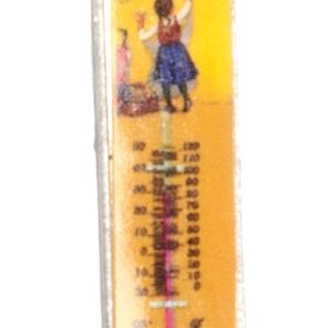 THERMOMETER