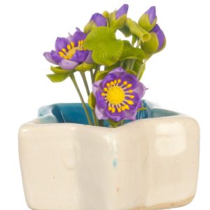STAR FISH POND W/FLOWERS