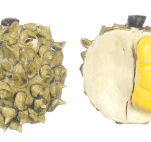2 DURIAN FRUITS