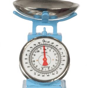 KITCHEN/GROCERY SCALE