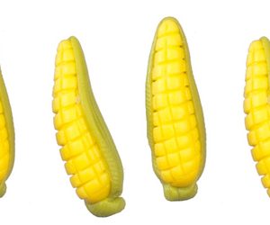 CORN ON THE COB/5pcs