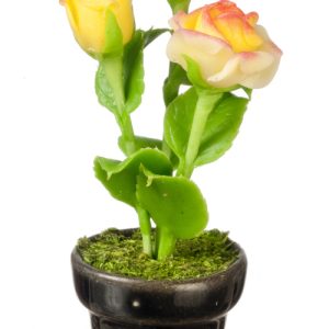 ROSES IN POT/YELLOW