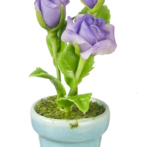 ROSES IN POT/LAVENDER