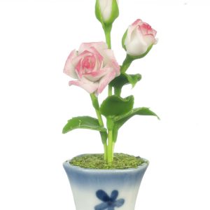 ROSES IN POT/WHITE&PINK