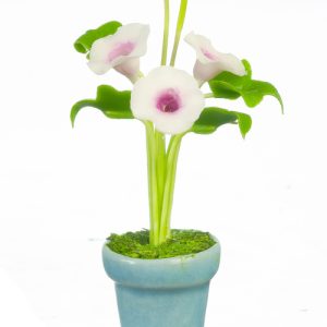 MORNING GLORIES IN POT/WH