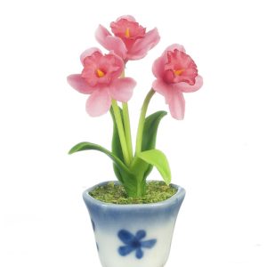 DAFFODILS/IN POT/HOT PINK