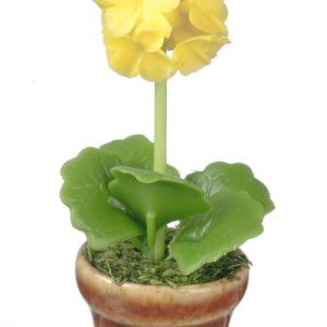 ALLIUM IN POT/YELLOW